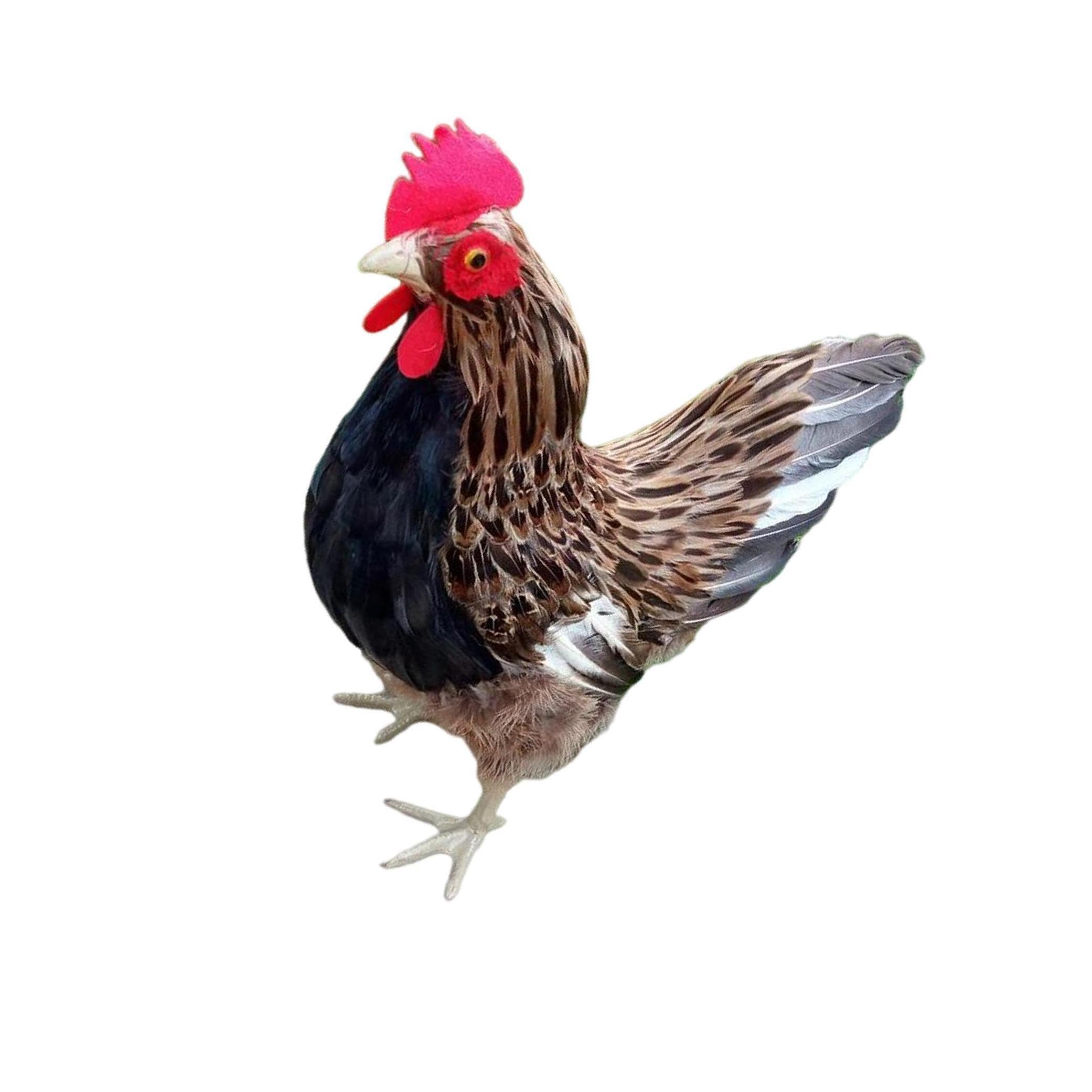 QUXVUIS Lifelike Hen Model Authentic Chicken Statue Realistic Animal Figurine Garden Rooster, Brown, L