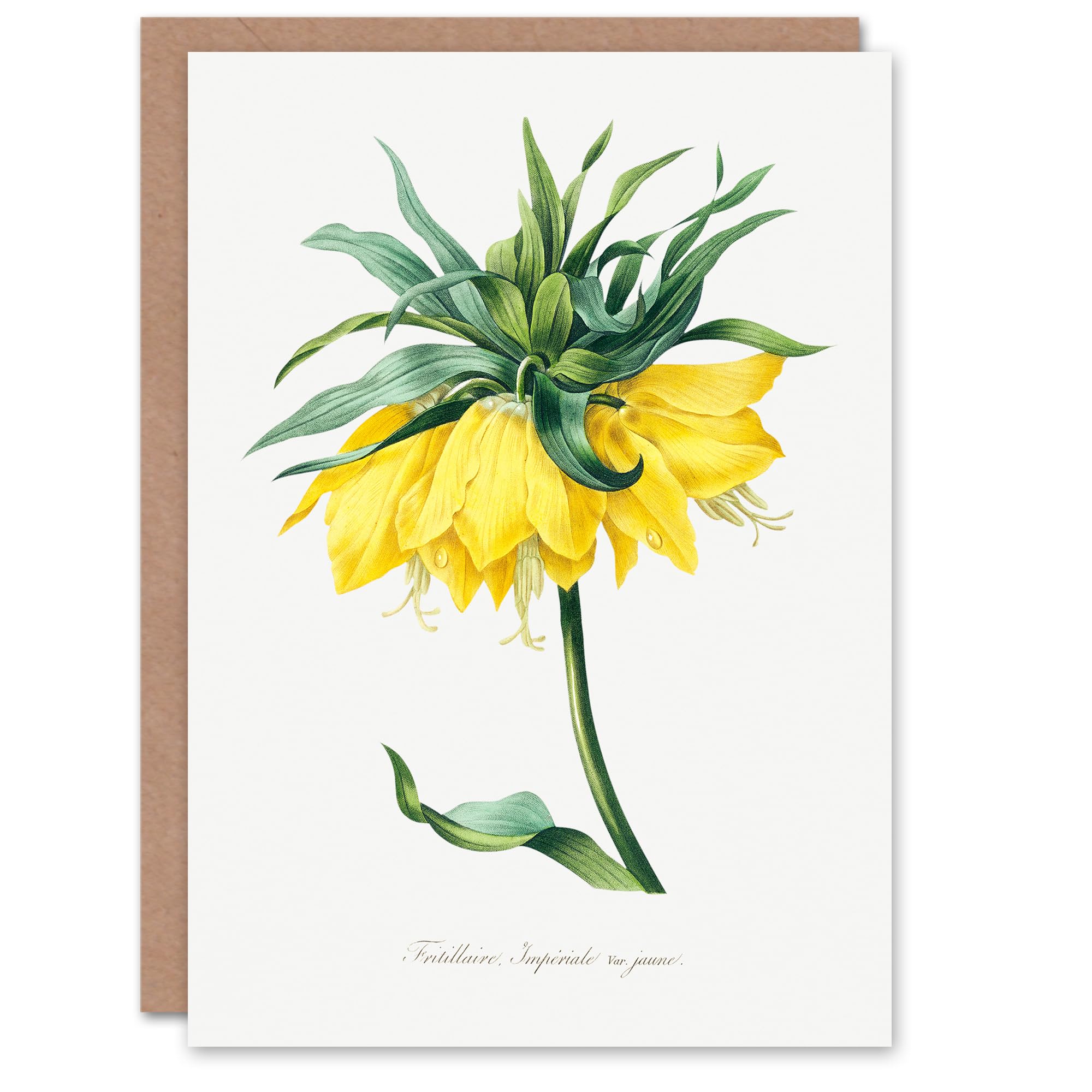 Artery8 Pierre-Joseph Redouté Art Card Yellow Crown Imperial Flower