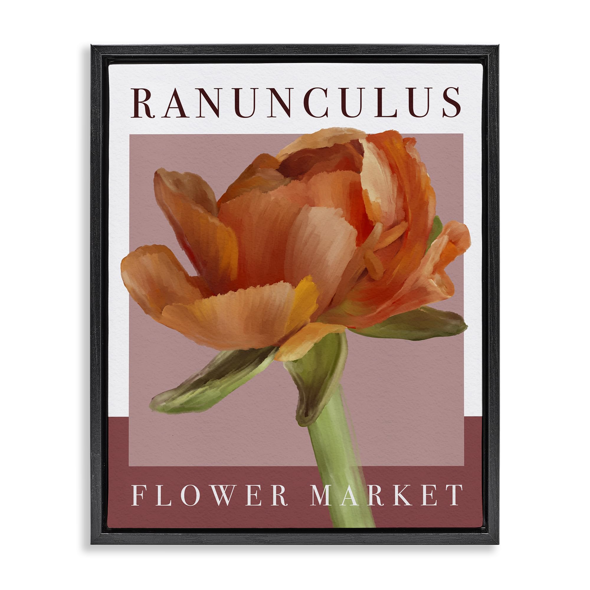 Stupell Industries Jet Black (Matte) Ranunculus Flower Market Floral, 24 X 30 Inch Canvas In Floater Frame