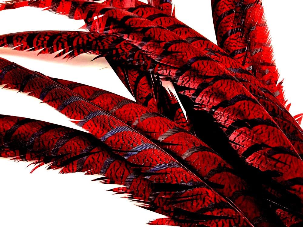 5 Pieces - 30-35" Red Zebra Lady Amherst Pheasant Tail Super Long Feathers Carnival, Costume, Party Supplies | Moonlight Feather