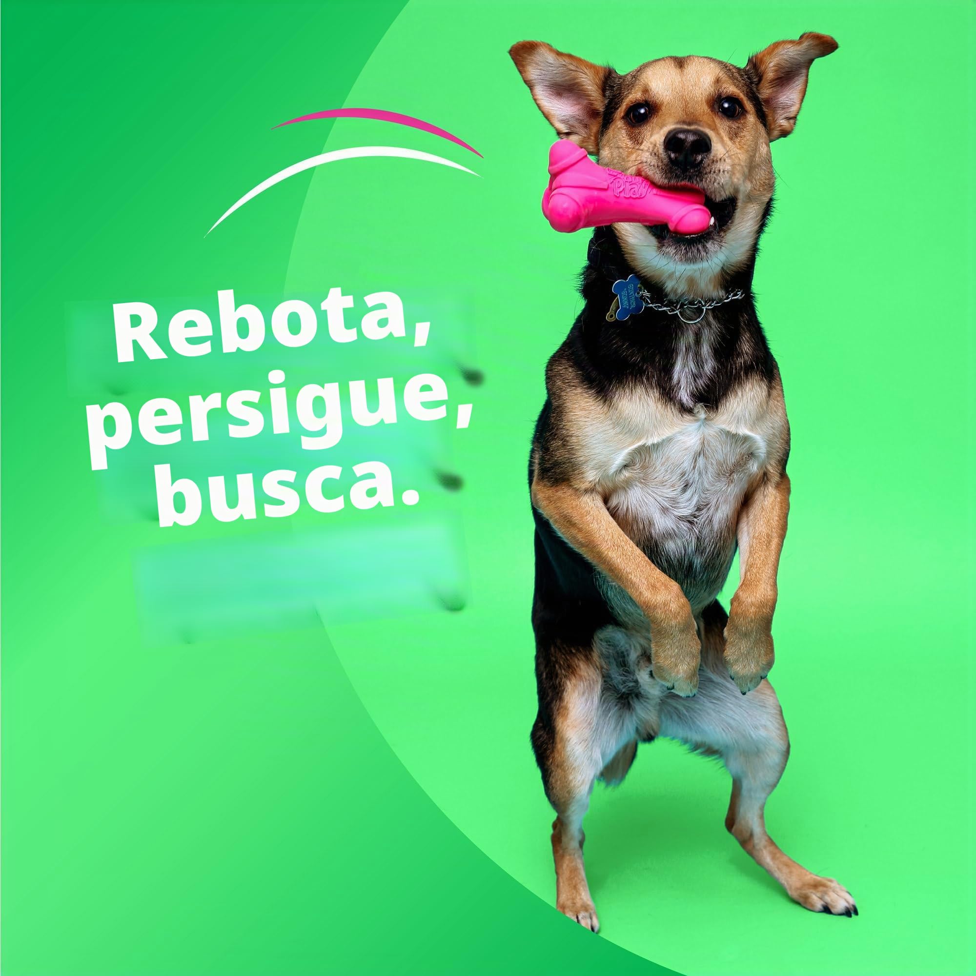 Hartz DuraPlay - Juguete de látex chirriante para Perros de Razas Medianas, Paquete de 3