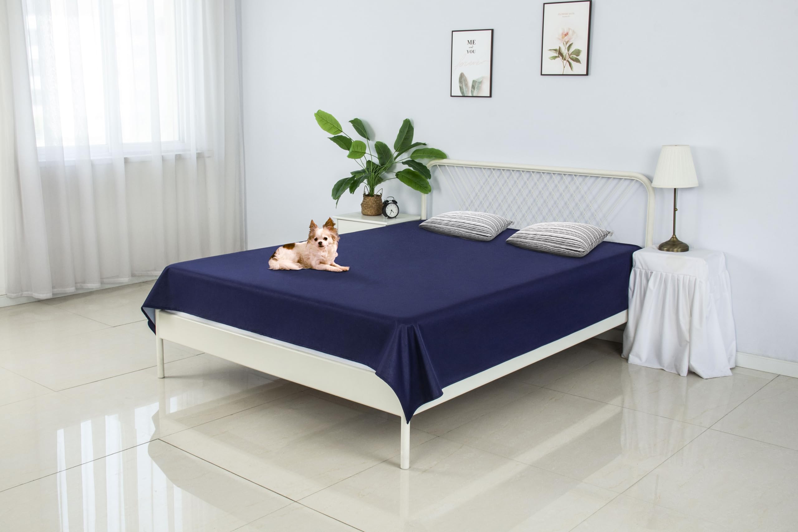 SILLY LEGACY Thin Reversible Waterproof Protective Cover or Liner for Bed or Couch for Dogs and Cats (Single 229 x 140 cm, Blue)