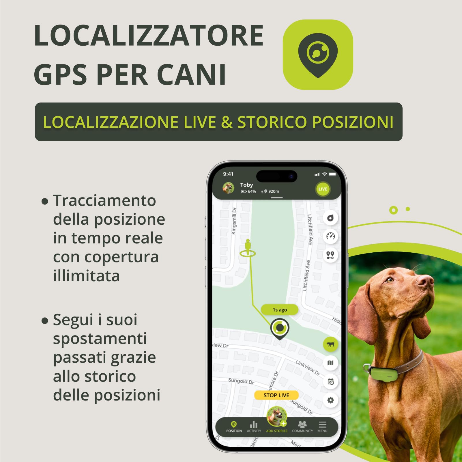 Kippy DOG | GPS per Cani - Localizzatore per Cani Impermeabile con GPS per Collare - Tracker di Attività e Salute del Tuo Cane, con Recinto Virtuale e Notifiche - Colore Verde