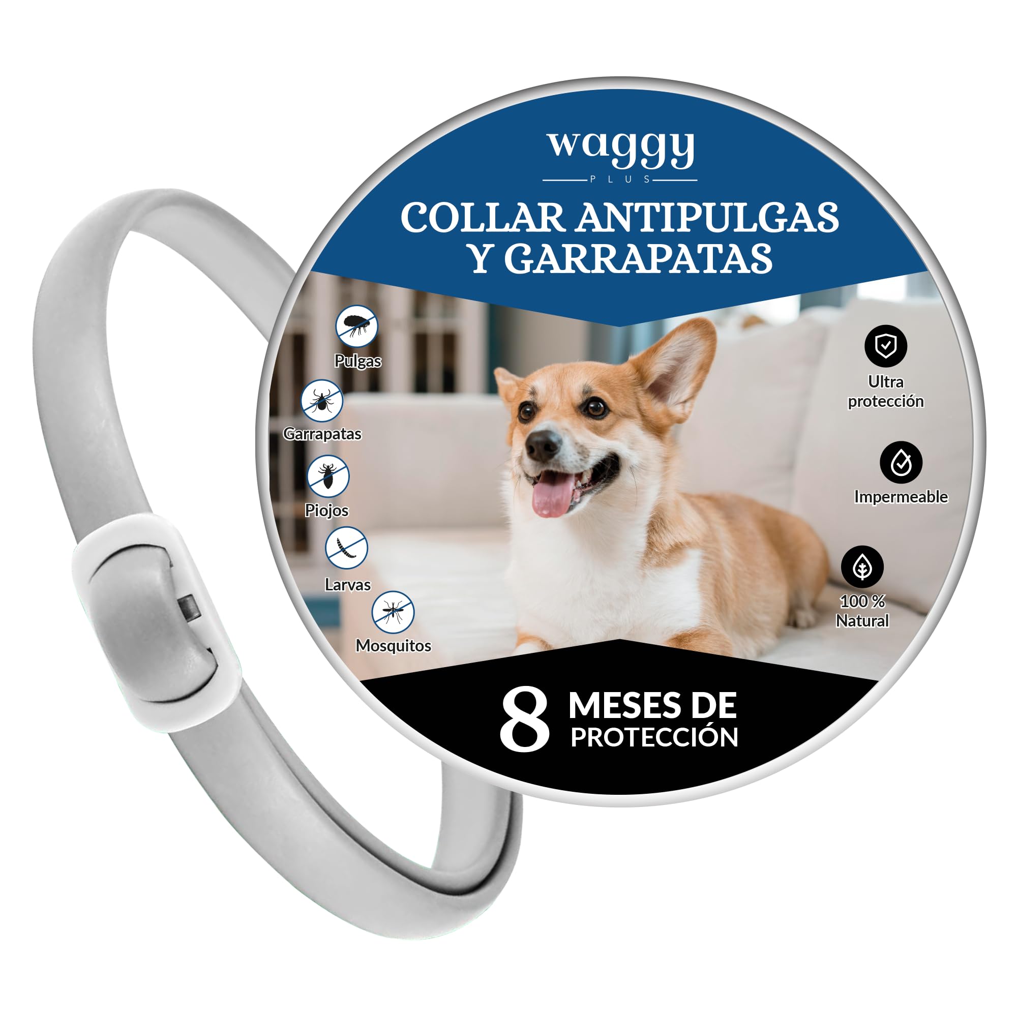 Collar Antiparasitario Perros medianos y pequeños, Collar Antipulgas. Protección eficaz para su Mascota de pulgas, garrapatas, Larvas, piojos y Mosquitos. 100% Natural