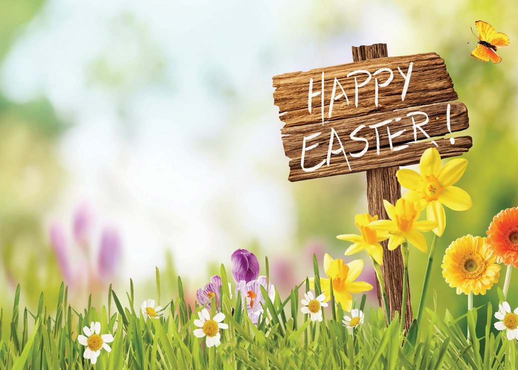 WofawofaHappy Easter Backdrop 7X5FT Vinyl Frohe Ostern Backdrops Eggs Hunt Green Grass Meadow Road Sign Fresh Flowers Spring Jesus Christ Photography Background for Kids Photo Studio Props HMM22