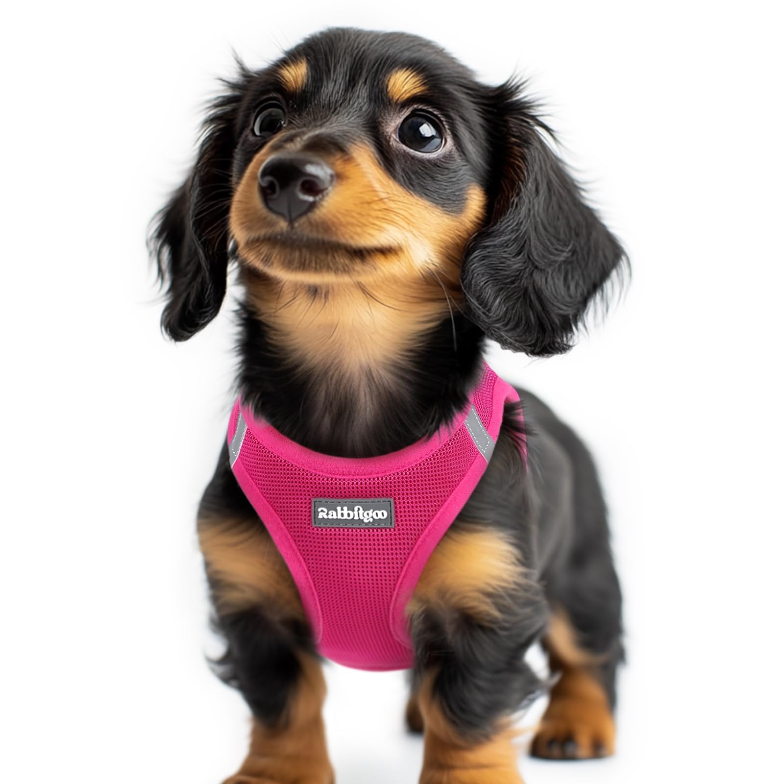 rabbitgoo Dog Harness Small Dog, Step-in Soft Mesh Puppy Harness with Reflective Strips