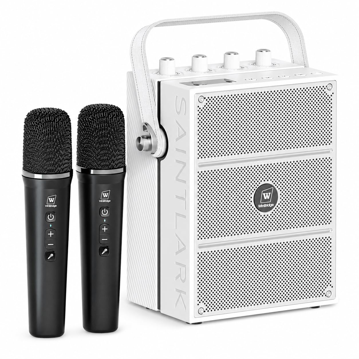 100W Bluetooth Speaker with 2 Wireless Microphones S99