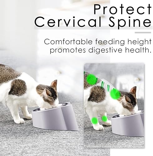 Miniatura 3 de Cuencos inclinados para gatos, cuenco ortopédico para gatos con inclinación de 15, antivómitos, a prueba de derrames, elevado, de acero inoxidable,
