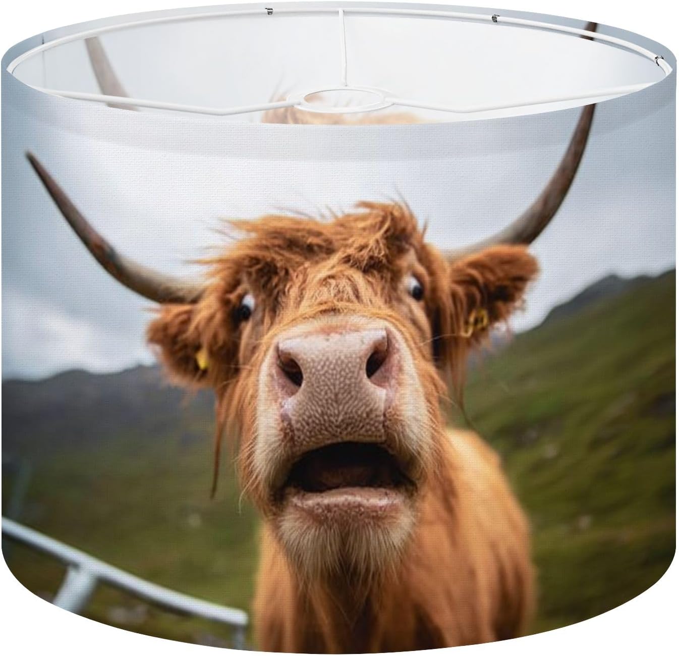 Drum Lamp Shades Highland cattle portrait behind fence Lampshade for Floor Lamps Table Lamp Pendant Light Linen 13"x13"x10" Replacement Large Lampshades
