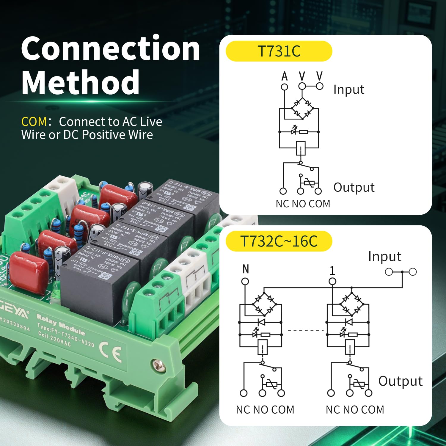2 Channel Relay Module AC/DC 24V Relay Interface