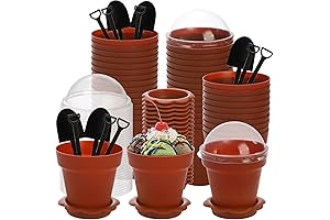 ZEAYEA Flower Pot Cupcake Holders: 50-Pack Dessert Cups with Lids and Spoons