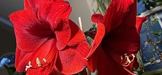 Review Image by Mai Mai Mai Mai