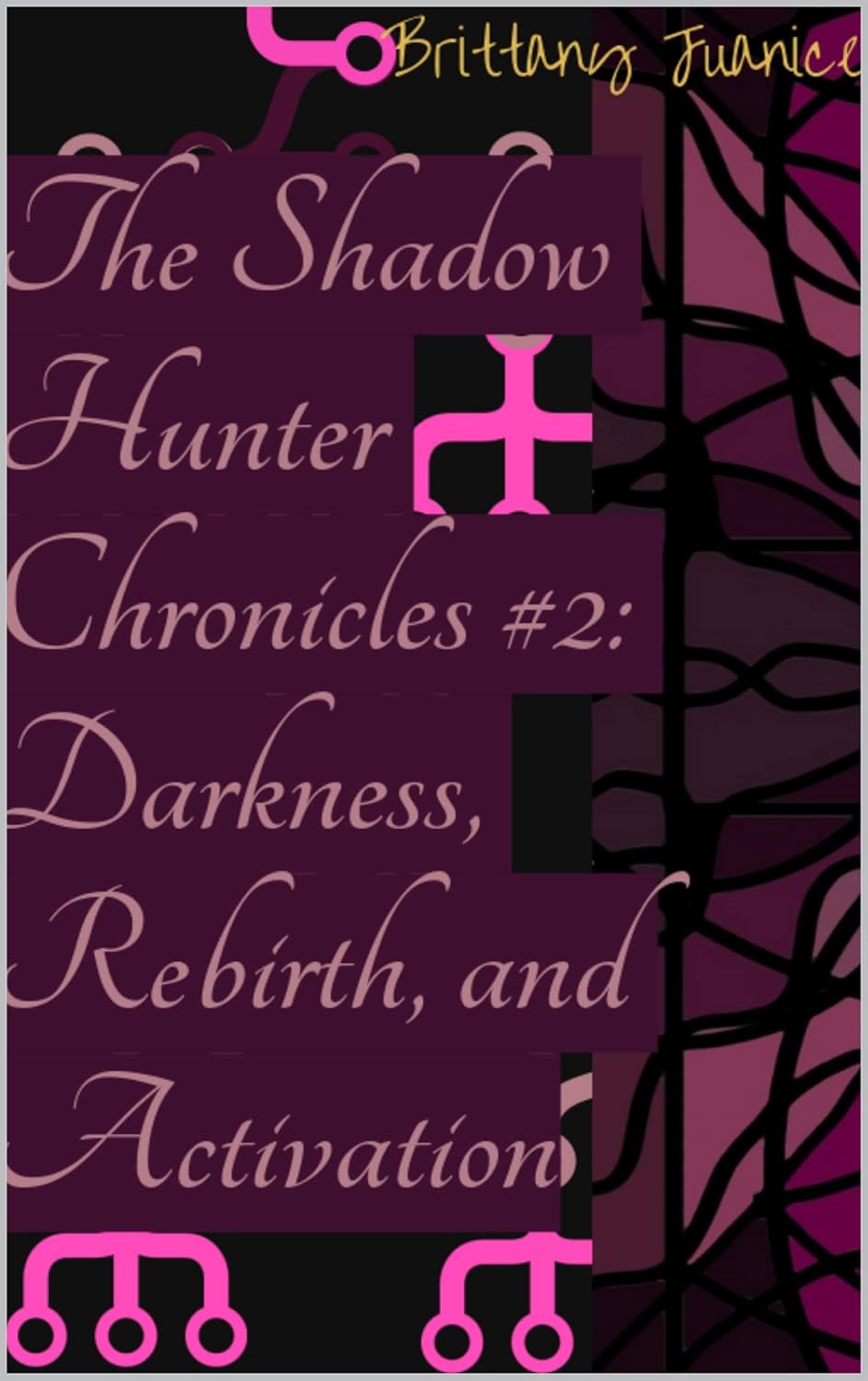 The Shadowhunter Chronicles #2: Darkness, Rebirth & Activation      Kindle Edition