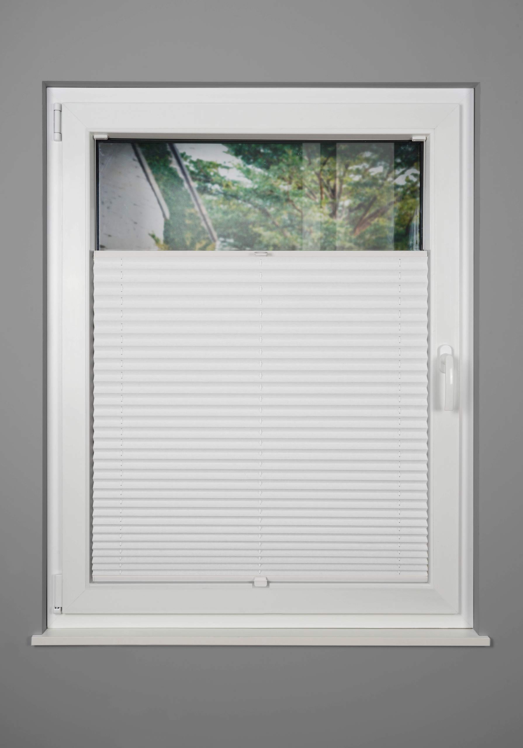 Plissee nach Maß Thermo für Fenster innen Montage in Glasleiste mit Spannschuh Sonnenschutz-Rollo Lichtschutz Blickdicht leichte Verdunkelung Weiß B: 51-60 cm, H: 40-100 cm