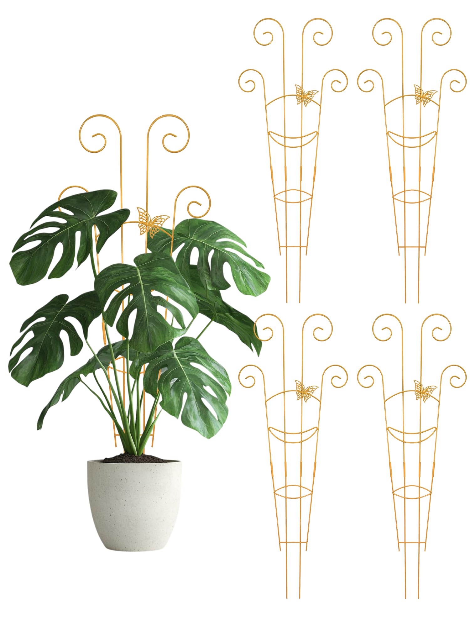 Whtawtaw Trellis