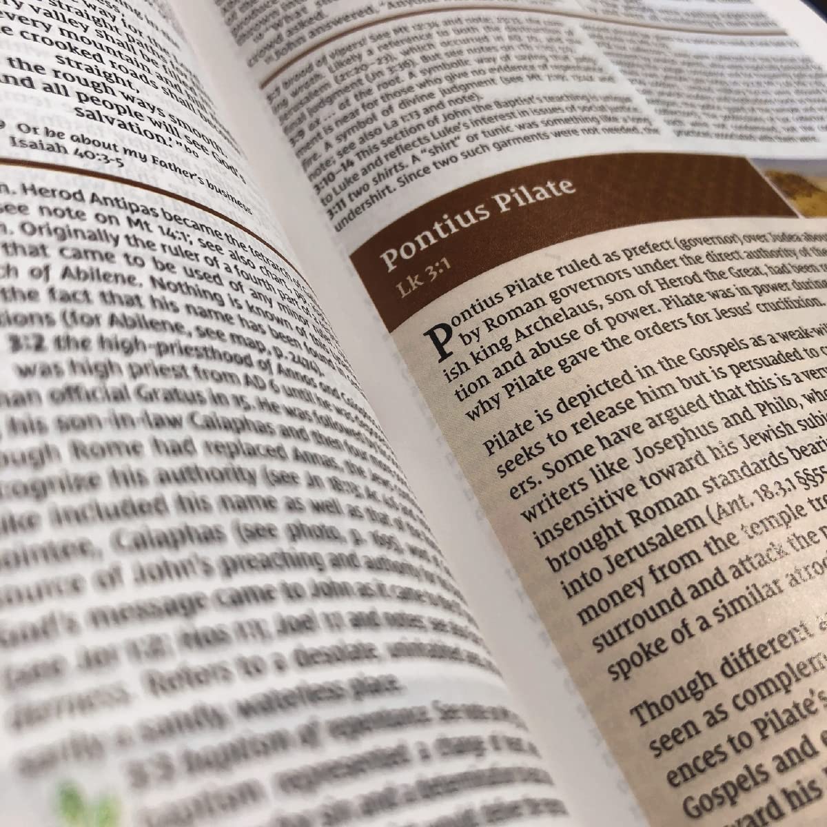 Holy Bible: New International Version, Study Bible