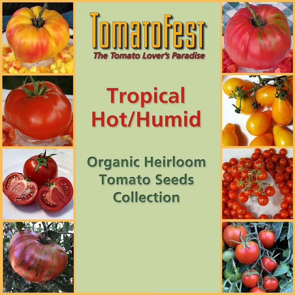 TomatoFest Tropical Hot/Humid Organic Heirloom Tomato