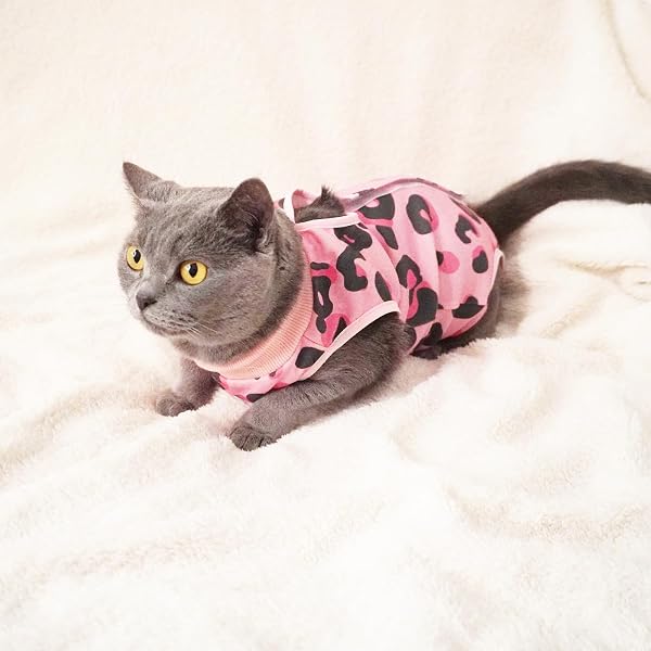 Cat Professional Recovery Suit,Body Suits for Abdominal Wounds or Skin Diseases,E-Collar Alternative for Cats, Onesie Cat Clothes After Surgery Collar & Cone Alternative - 5
