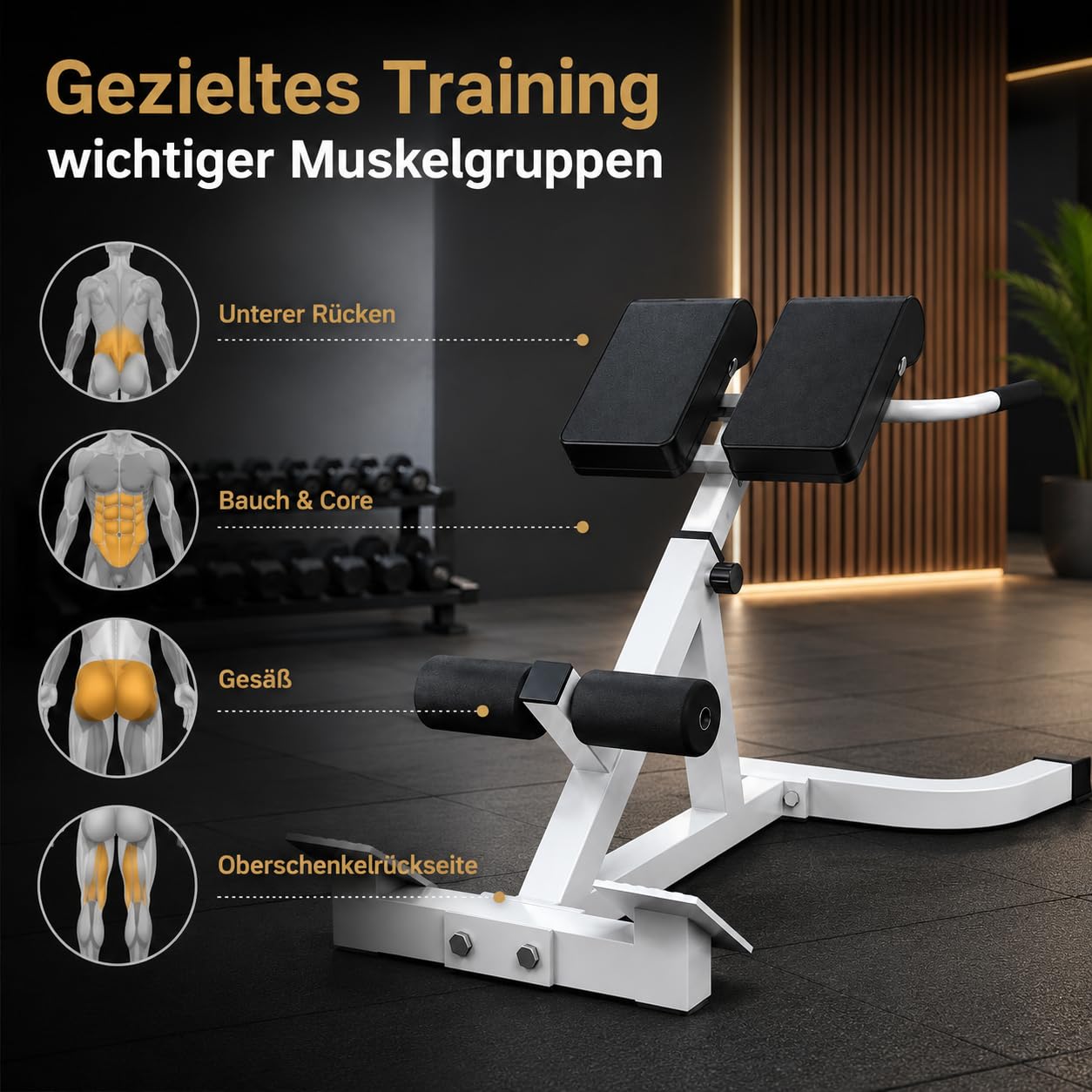 Roman Chair Hyperextension Panca per esercizi addominali e schiena - Panca fitness multifunzionale con altezza regolabile, imbottitura e gambe in schiuma - portata 300 lbs