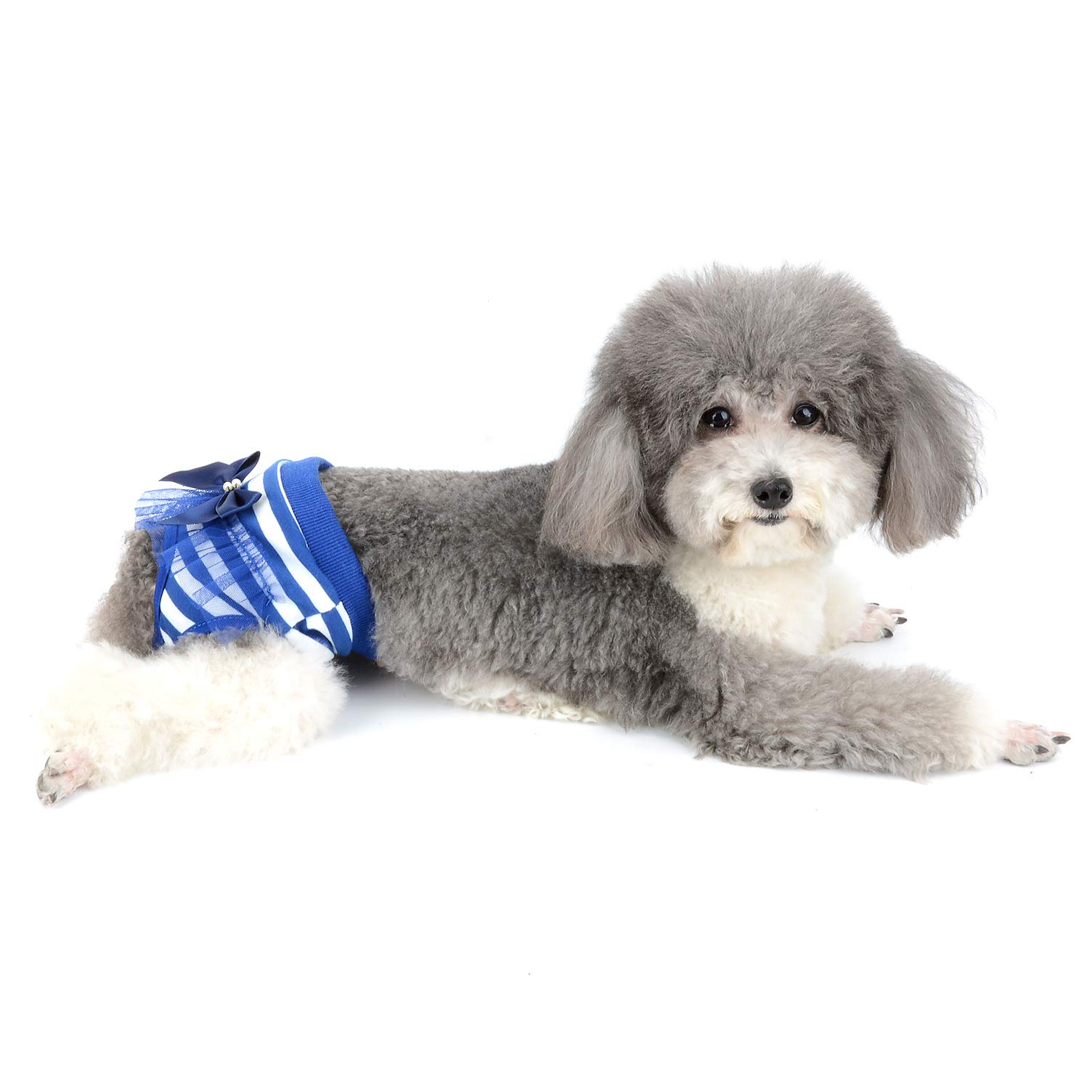 Amazon | Ranphy 犬オムツ 犬用サニタリーパンツ 縞柄 生理用
