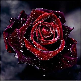 5D Diamond Painting Kit Completo, Rosa Roja Rosas Azules Colorido Flores Pintura Diamante, Manualidades Adultos Niños DIY Dibujos con Diamantes, Para Decoración Dibujos Pintura De Diamante (A)