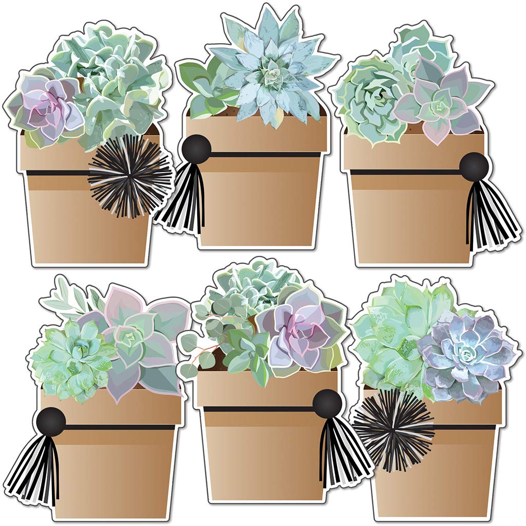 Buy Schoolgirl Style Simply Stylish 36 Piece Potted Succulents Bulletin