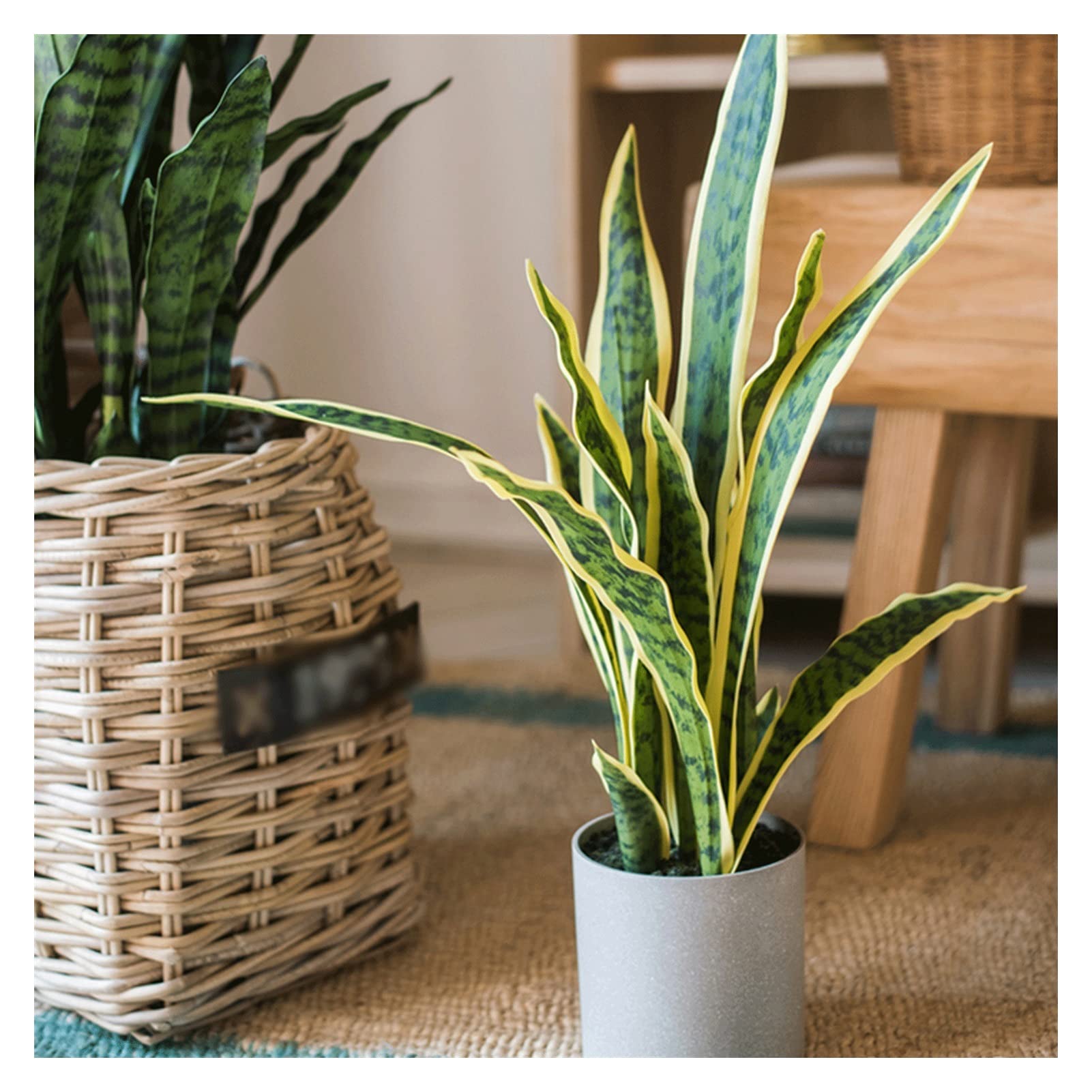 Piante Artificiali, pianta di Sansevieria a Foglia Verde Artificiale, Albero di Sansevieria Finto da 23,6 Pollici, Piante finte perfette in Vaso per casa, Ufficio, Bonsai