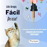 Ver la foto 5