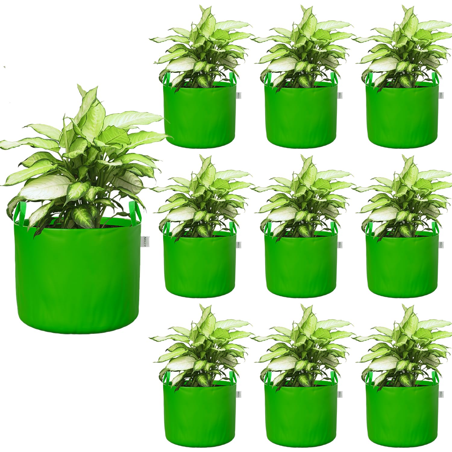 Oriley Grow Bags - Durable Plant Containers -28 Oriley Grow Bags - Durable Plant Containers -28