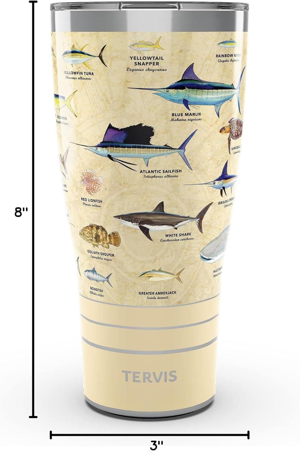 Tervis Traveler Guy Harvey Charts Triple Walled Insulated Tumbler Travel Cup Keeps Drinks Cold & Hot, 30oz, Stainless Steel - Image 9