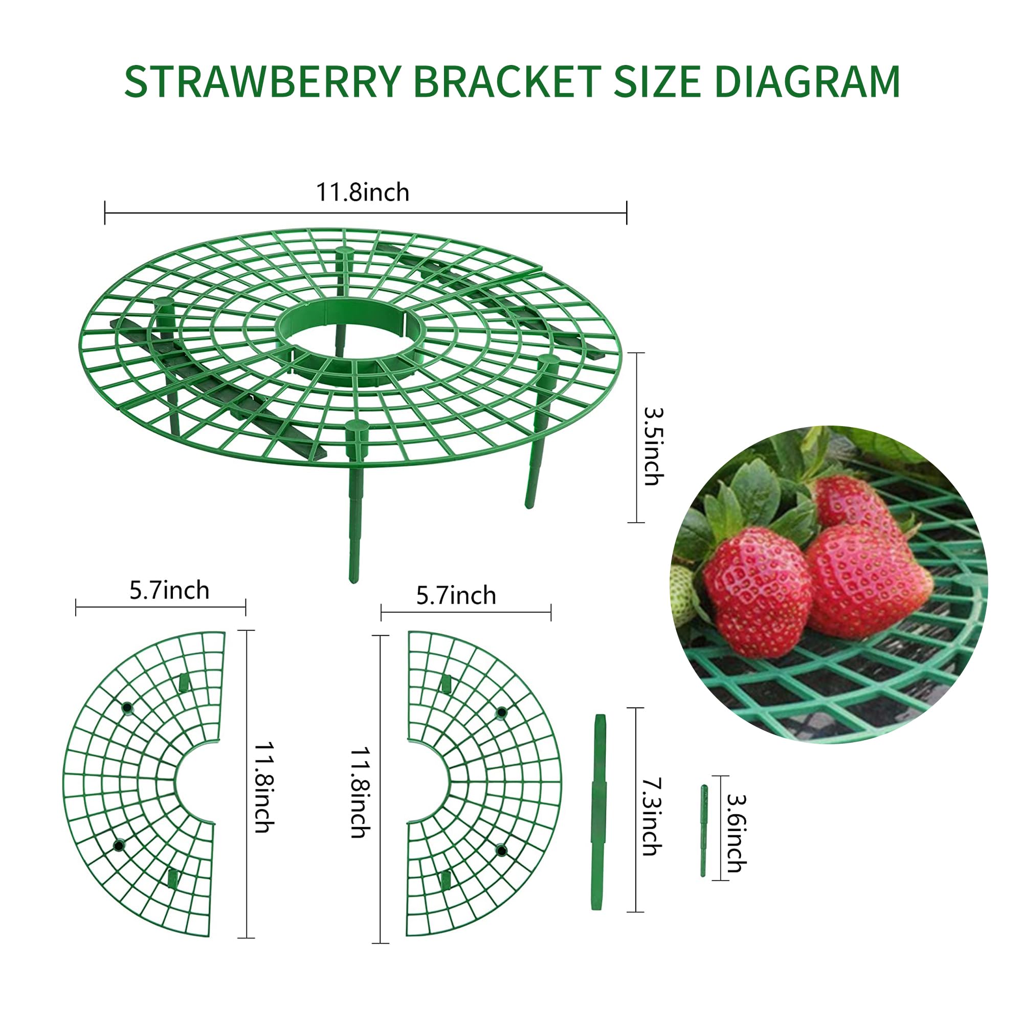 5 Stück Erdbeerstützen Aus Kunststoff – 30,5 Cm Hoch, Schützt Erdbeeren Vor Fäulnis & Schmutz
