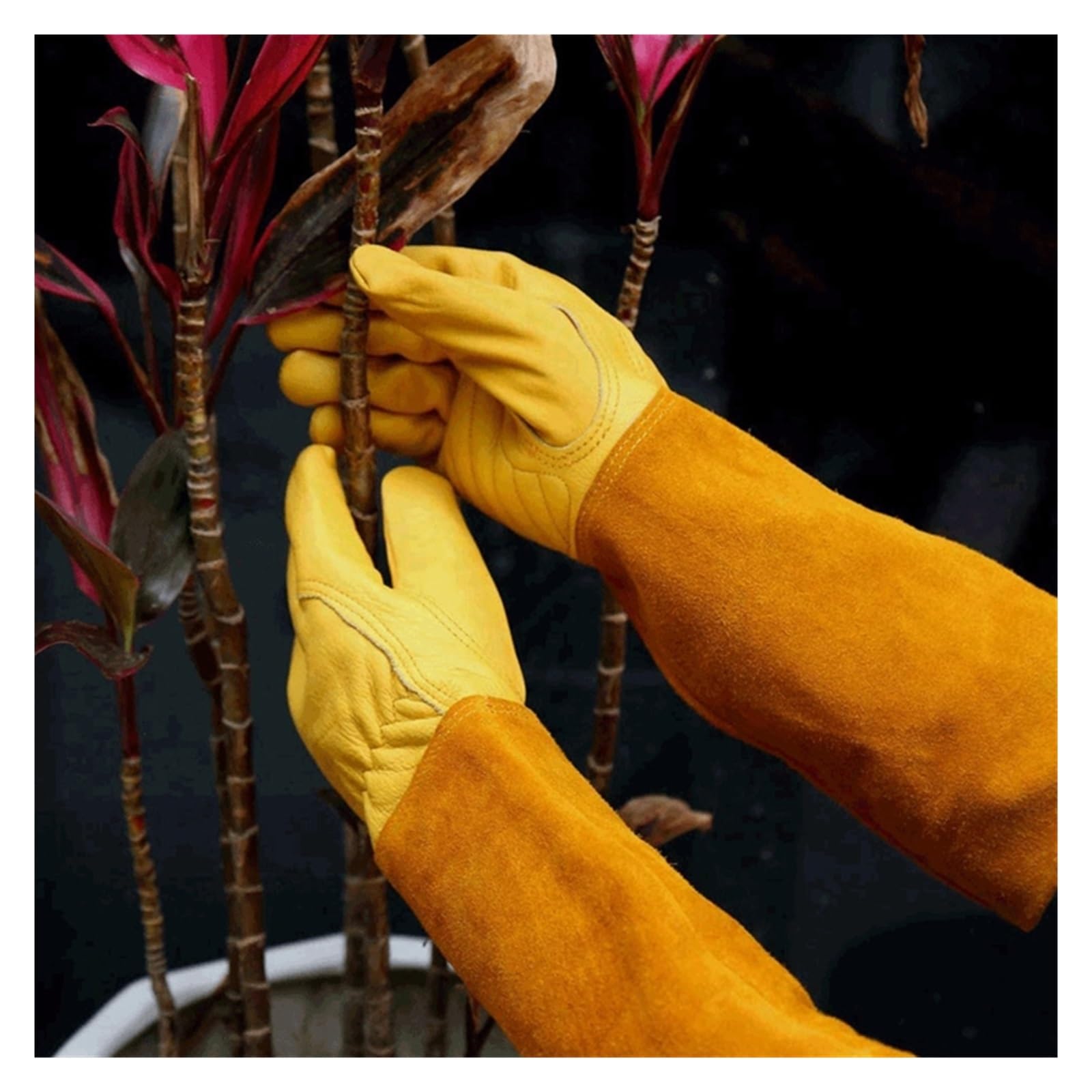 Gants en cuir for la taille des rosiers, for hommes et femmes, jaunes, tailles S/M/L, cadeau de jardinage(Small)