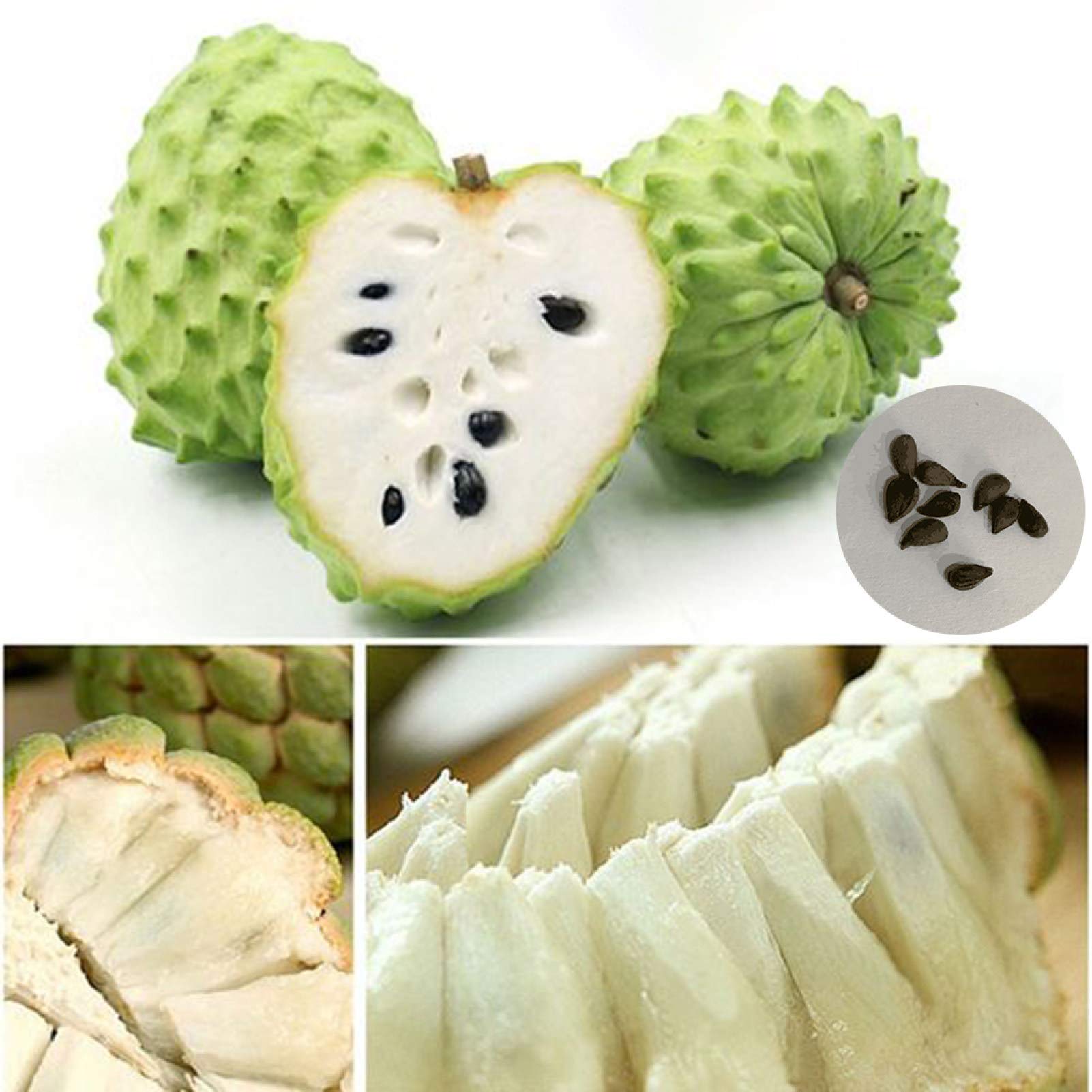 Seed Plant 10Pcs Delicious Sweetsop Seeds Sugar-Apple Bonsai Fruit DIY Garden Yard Plant - Sweetsop Seeds