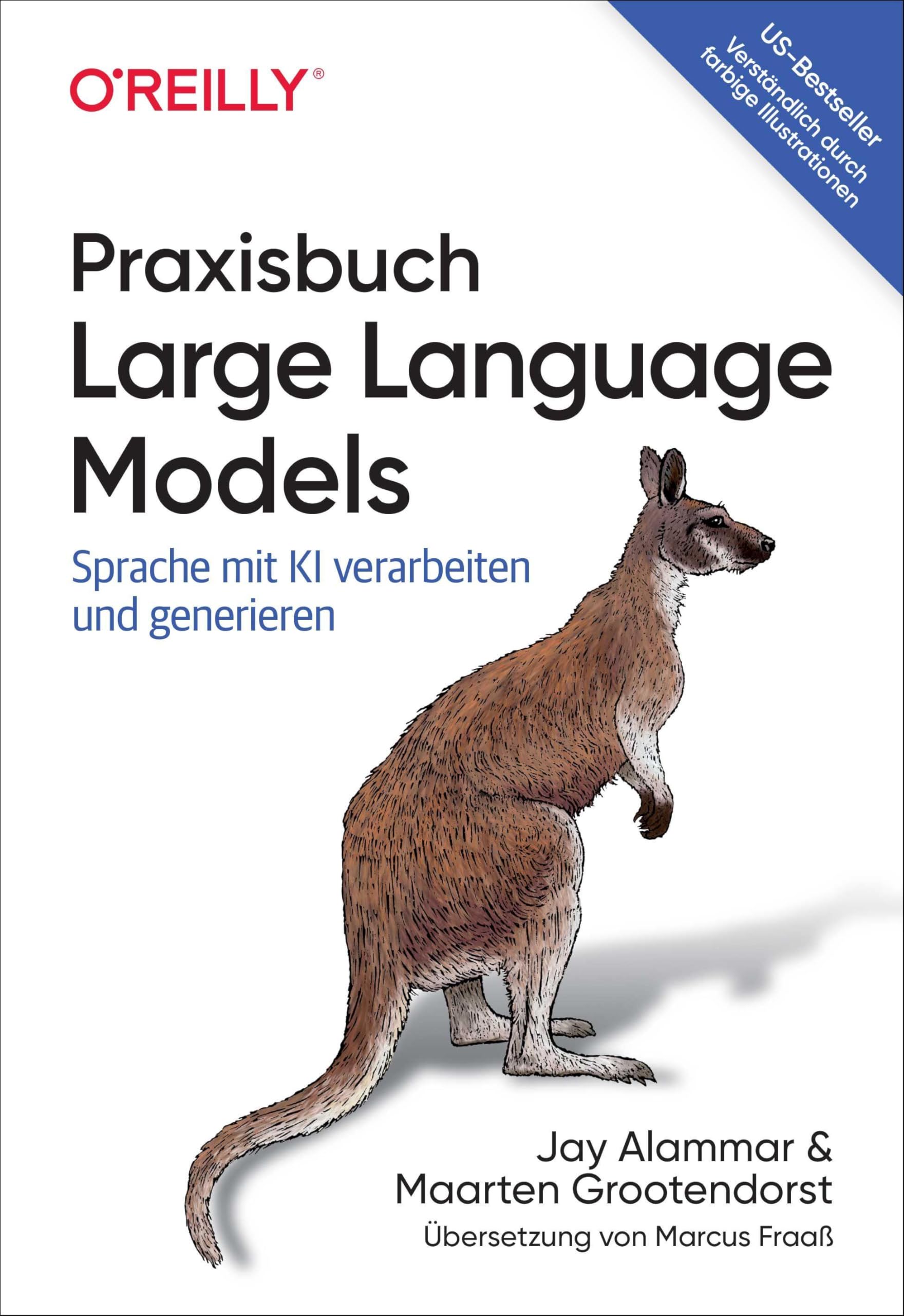 Praxisbuch Large Language Models: Sprache mit KI verarbeiten und generieren