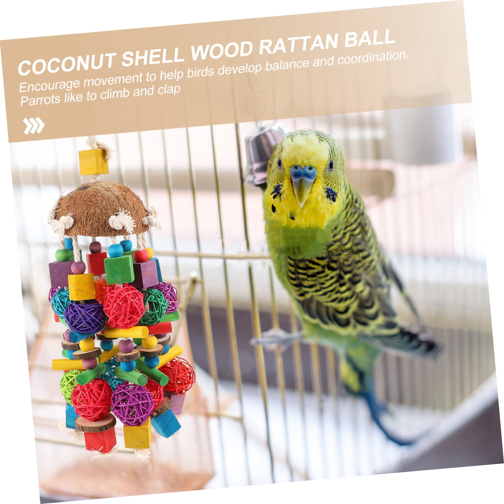 Beaupretty 1pièces Jouet Suspendu pour Perroquet Coquille De Noix De Accessoires De Cage Colorés pour Oiseaux à Mâcher Jouer