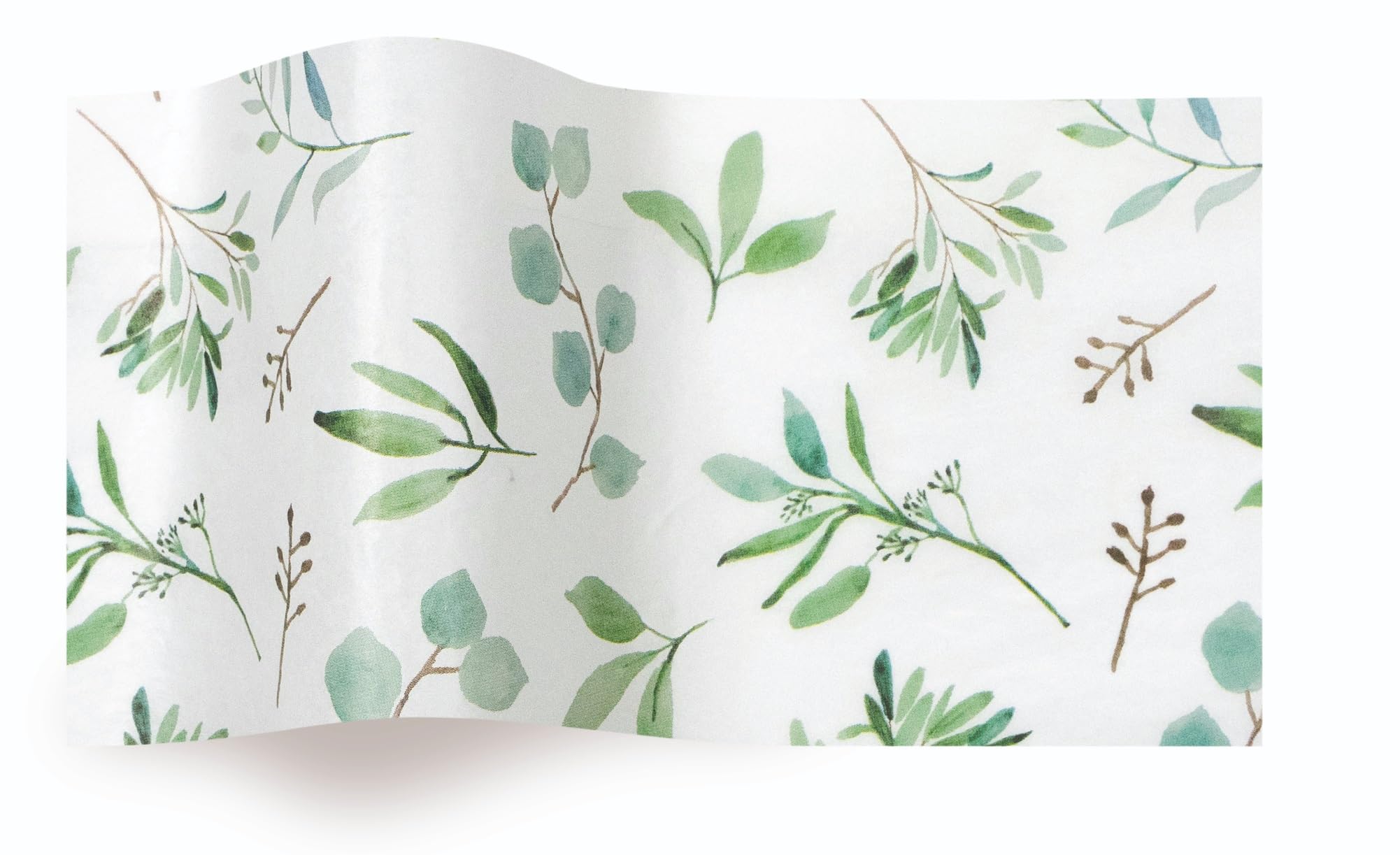 MustBeBonkers Luxury Printed Tissue Wrapping Paper Tissue 16gms - Acid Free - 34 x 45 cm (Eucalyptus, 100)