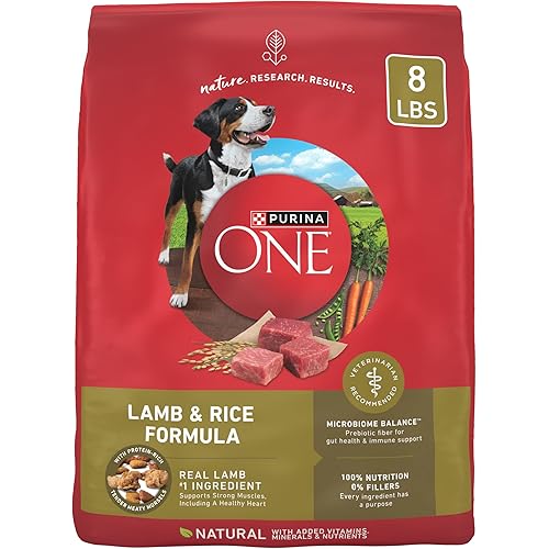 Purina ONE Dry Dog Food Lamb and Rice Formula - 8 lb. Bag