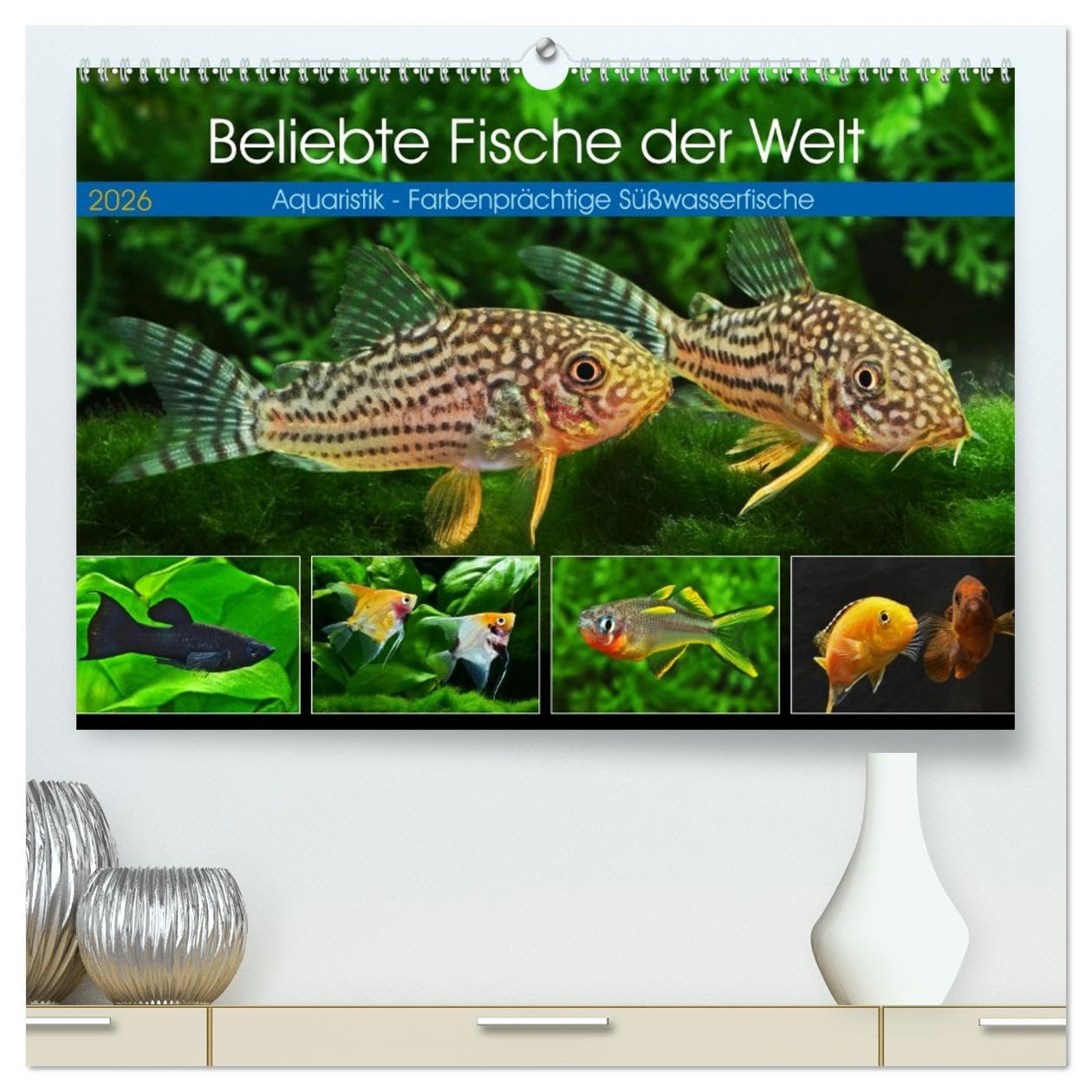 Beliebte Fische der Welt (hochwertiger Premium Wandkalender 2026 DIN A2 quer), Kunstdruck in Hochglanz: Aquaristik - Farbenprächtige Süßwasserfische