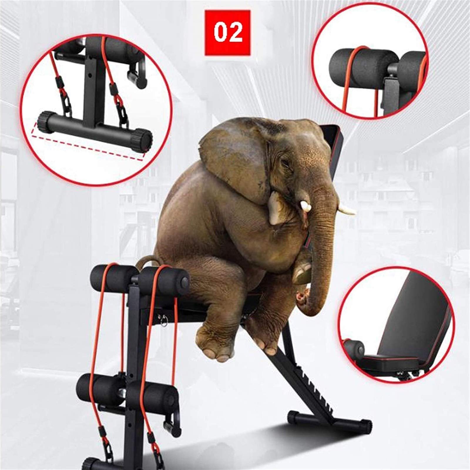 Verstellbare Hantelbank, Fitnesstraining, Banktraining, Beintraining, Heimtraining, Fitnessstudio, Gewichtheberbank, Sit-Up, für Anfänger und Profis