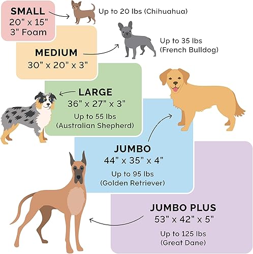 Miniatura 6 de Furhaven  Cama para perro. Sofá estilo tradicional terapéutico. Sofá cama de lujo de sala para mascotas con funda extraíble, para perros y gatos