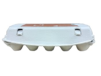 白いタマゴ オハヨー 白Lサイズたまご｜楽天マート - ネットスーパー