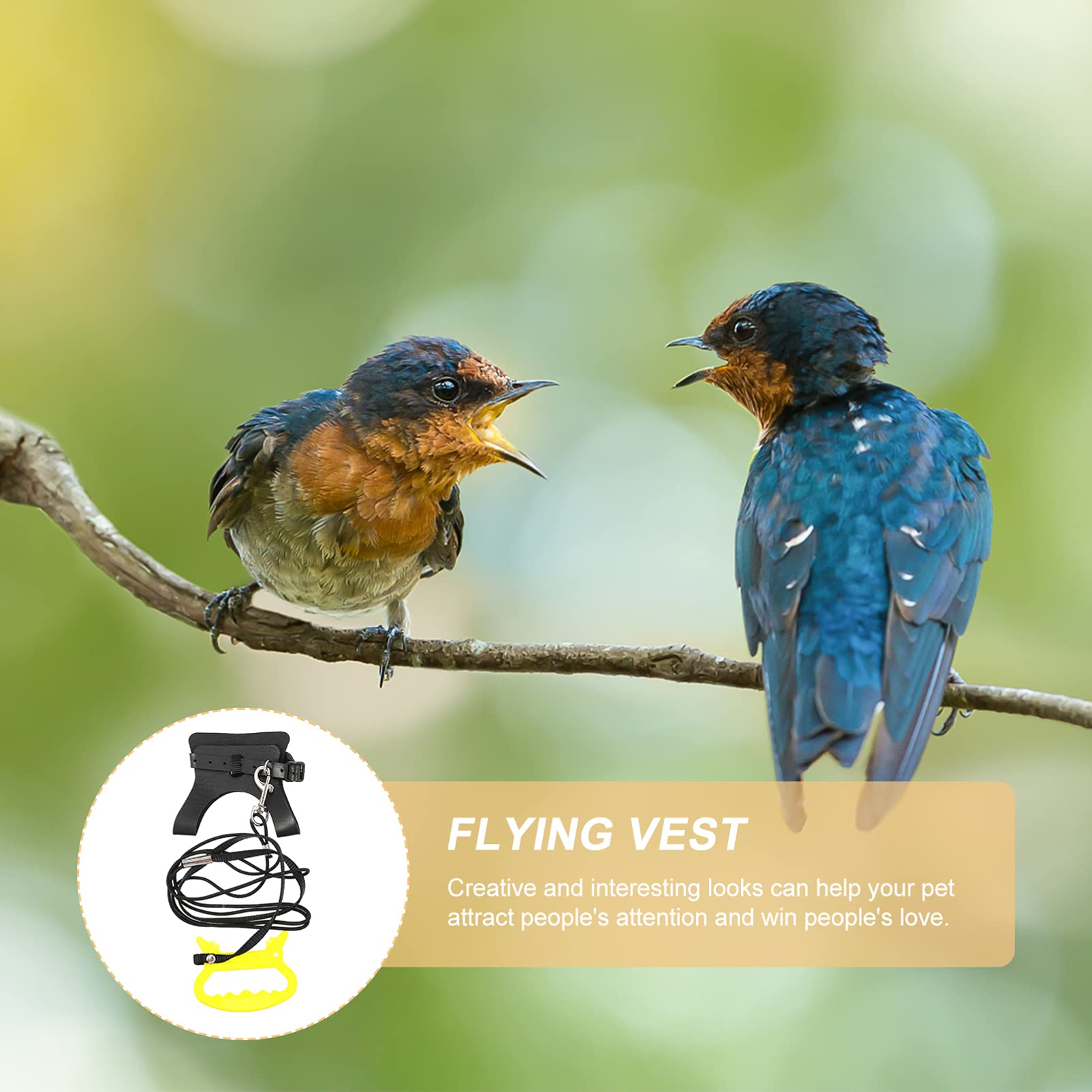 vogelvluchtharnas vest papegaai pakket met reflectorende lijn, kleding voor vogels - trainingslijnset voor en parkieten | Bekijk Nu De Aanbiedingen Van Vandaag