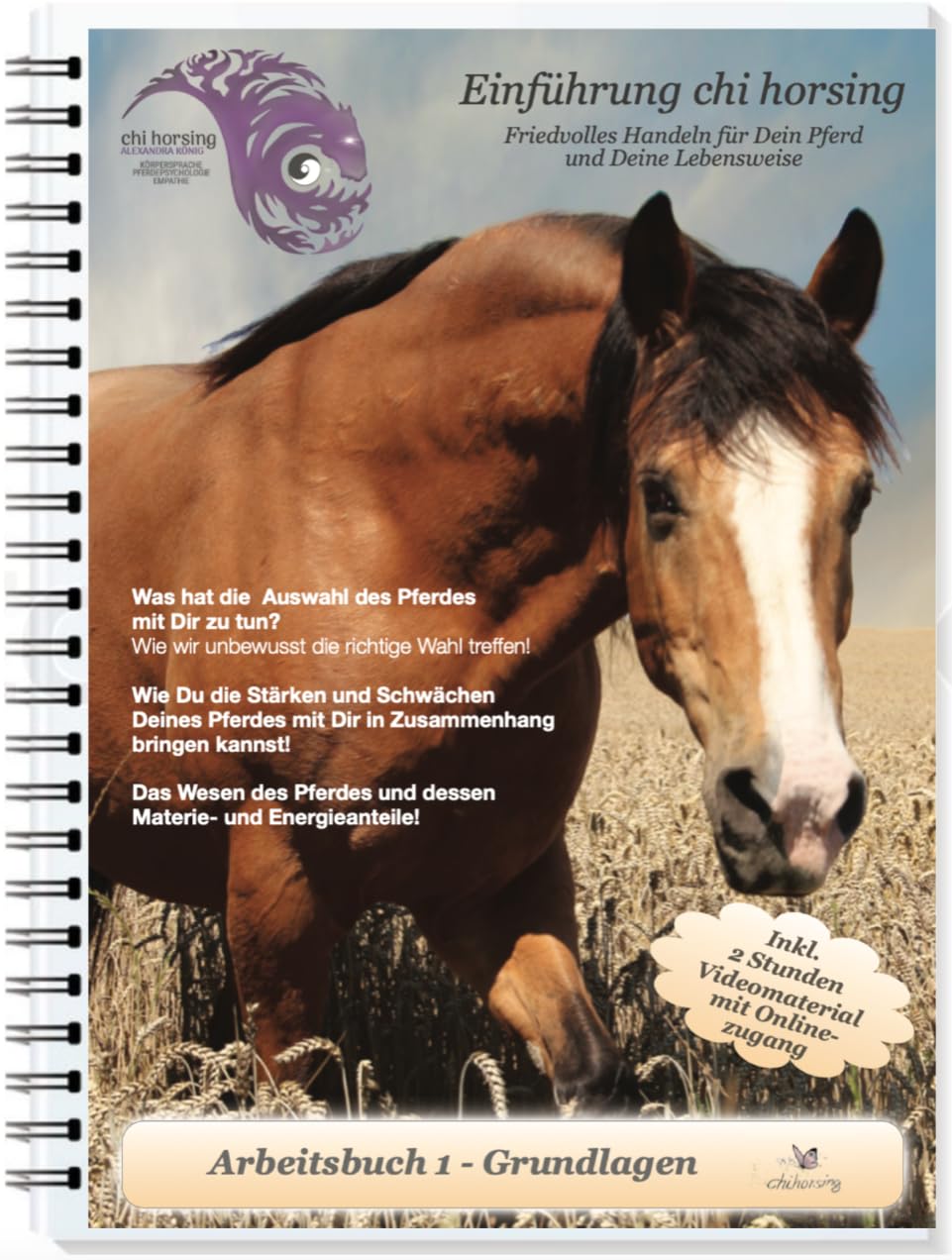 Pferdesprache - Pferdeumgang - Pferde verstehen - Kommunikation mit Pferden Arbeitsbuch "Einführung chi horsing" (inkl. 2 Std. Videomaterial)