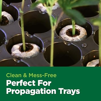 Char Coir Coco Coin, 100% RHP Certified Coco Coir Seed, Clone Propagtion Plugs, Buffered, pH Stable, Low EC, Triple Washed, for Flowers, Vegetables, Herbs and Hydroponic Systems, 78 Plugs