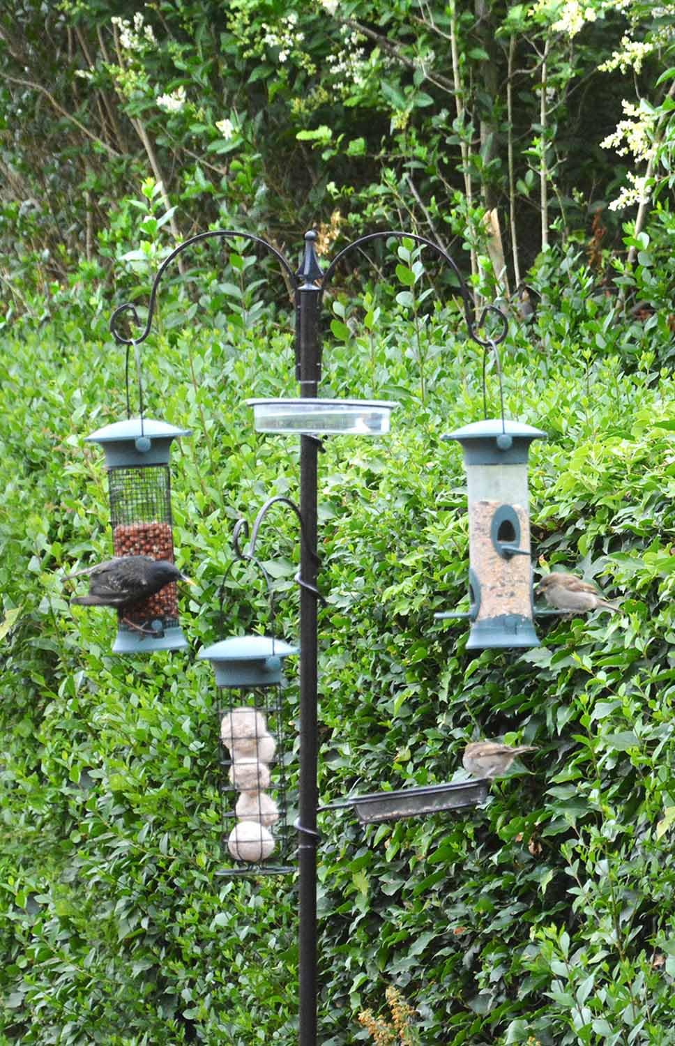 Green Jem Wild Bird Feeding Station With Water Dish - Image 4