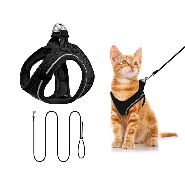 Arnés para Gatos con Correa 255cm XS (Pecho 31-38cm) Negro