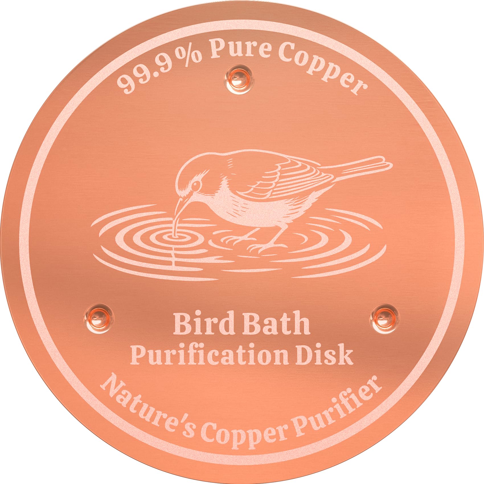Bird Bath Copper Purification Disc, Keeps Water Fresh, Birds Friendly 1Pcs