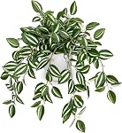 Faux plantes à l'intérieur 17.7in Faux pastèque Peperomia Plant en pot d'or avec des feuilles de rose en soie réaliste Plante artificielle en pot pour la maison Bureau Table Bureau Chambre moderne Décor