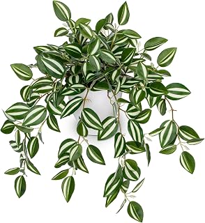 Briful Faux Watermelon Peperomia Artificial Potted Silk Plant - Realistic Cascading Vine for Home Office Desk Shelf Decor (Green/White)