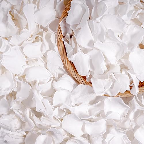 Miniatura 10 de Miofula Pétalos de rosa rosa reales secos, pétalos de flores preservados congelados para decoración de fiesta de boda, pétalos de rosa para noche